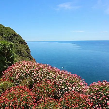 Arco Da Calheta Sleeps 6 With Pool Villa Arco da Calheta (Madeira)